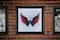 Camelot® Dots NHL Washington Capitals Diamond Painting Kit